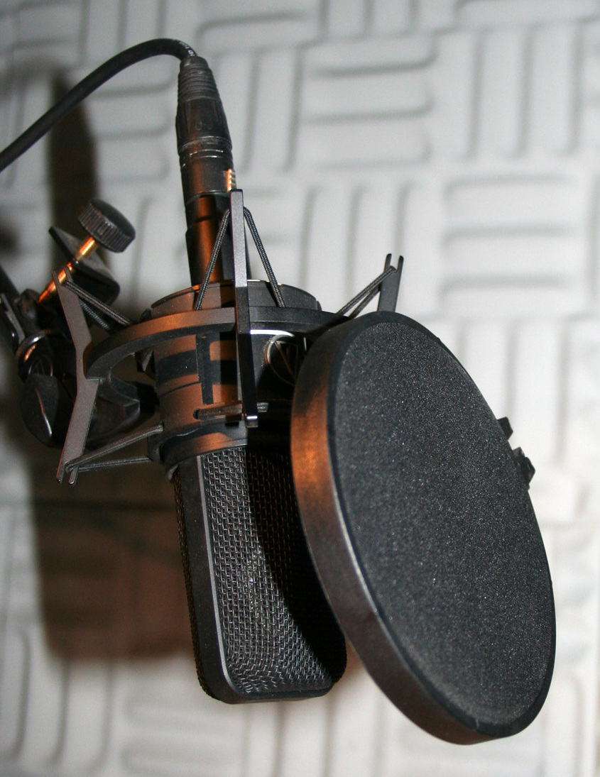 Studio microphone with pop-shield crop.jpg